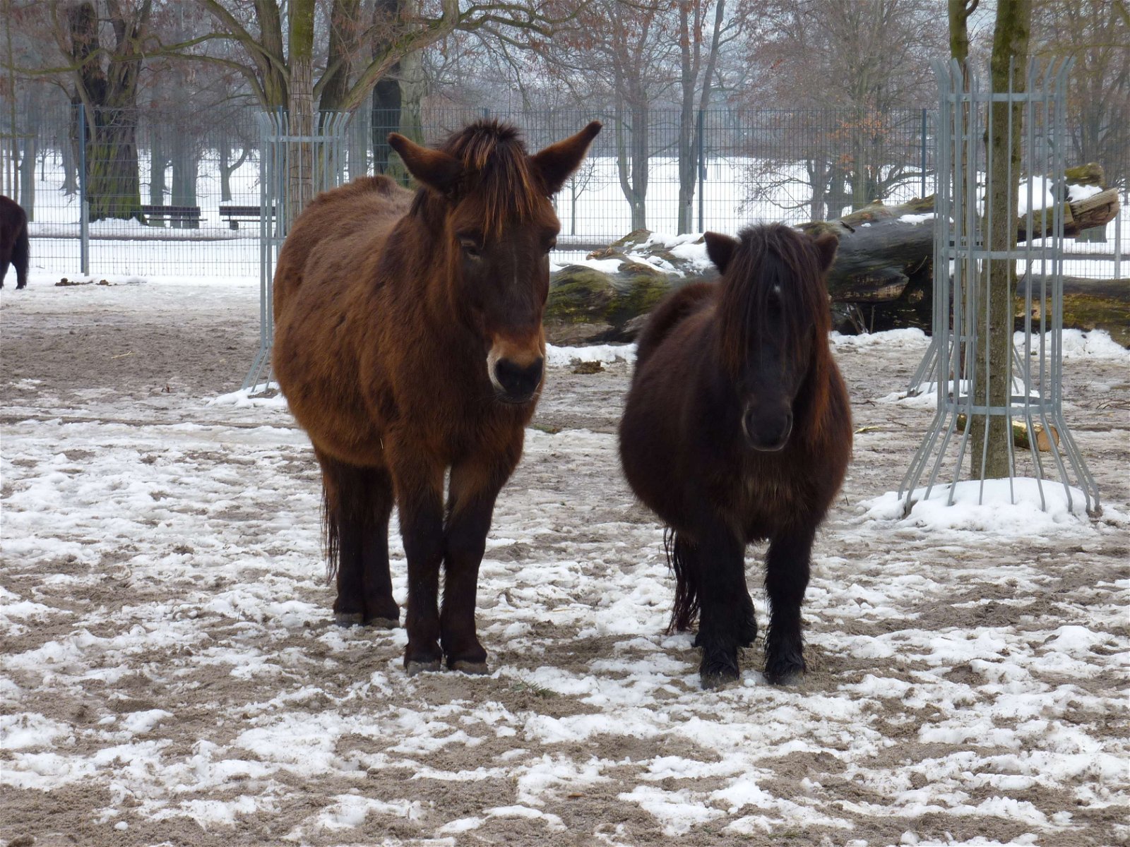 Wilhelma Zoologisch-Botanischer Garten