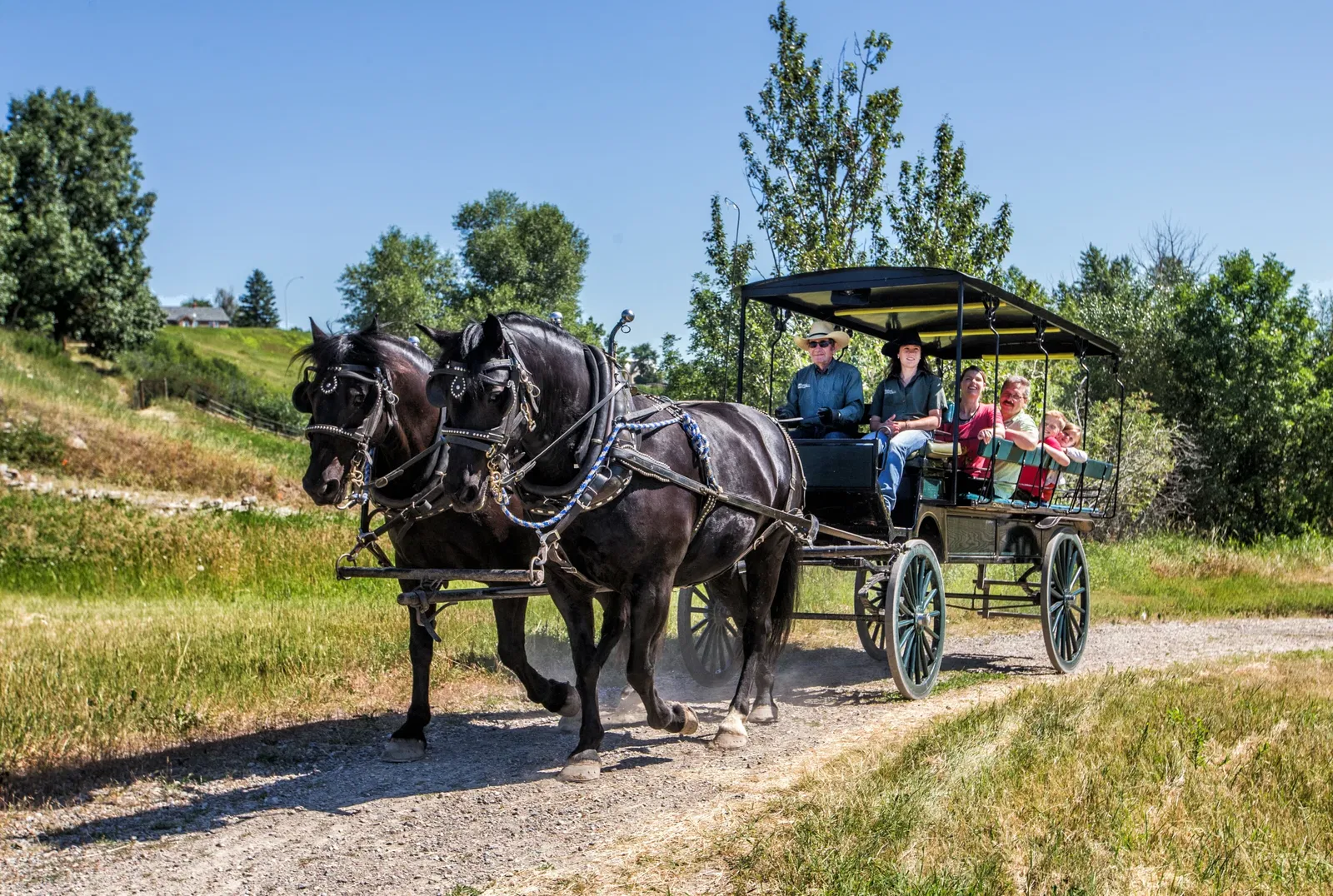 Remington Carriage Museum