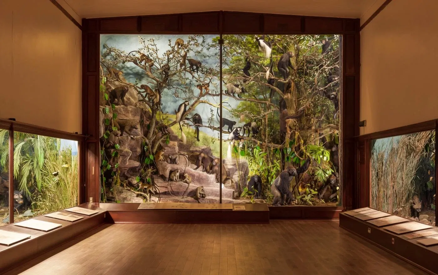 Powell-Cotton Museum, Quex House and Gardens