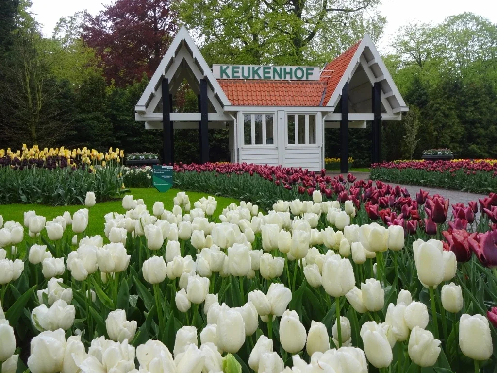 Tickets, Prices & Discounts - Keukenhof (Lisse)