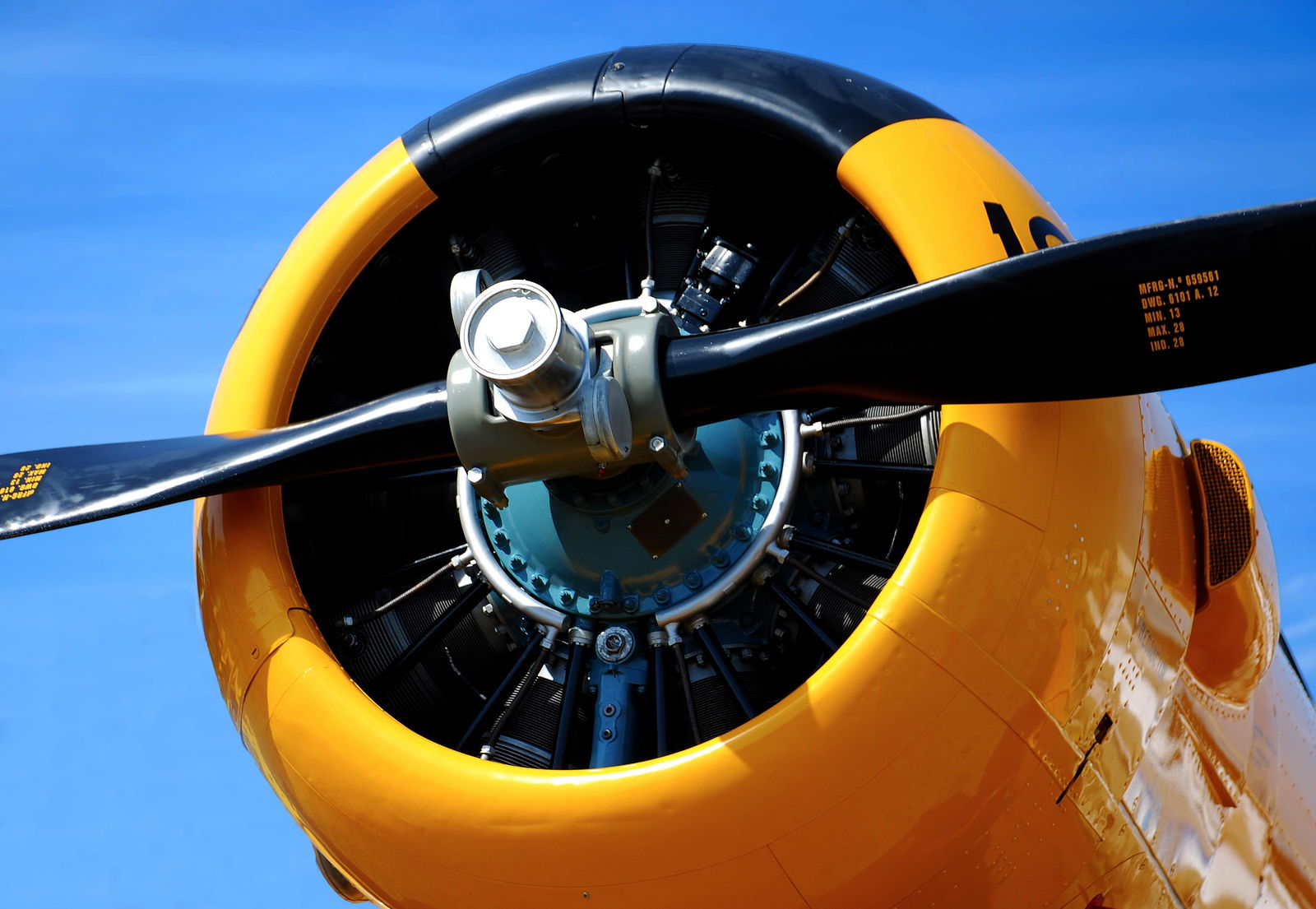 Infante de Orleans Foundation Museum