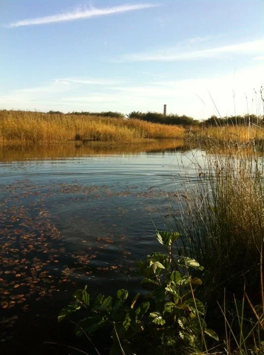 Pleasley Pit Coal Mining Museum