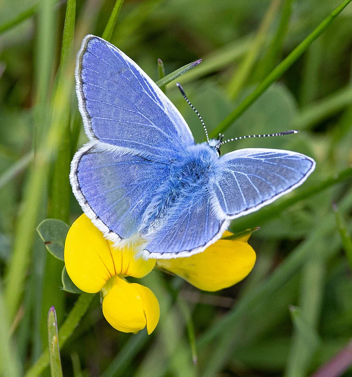 Pleasley Pit Coal Mining Museum