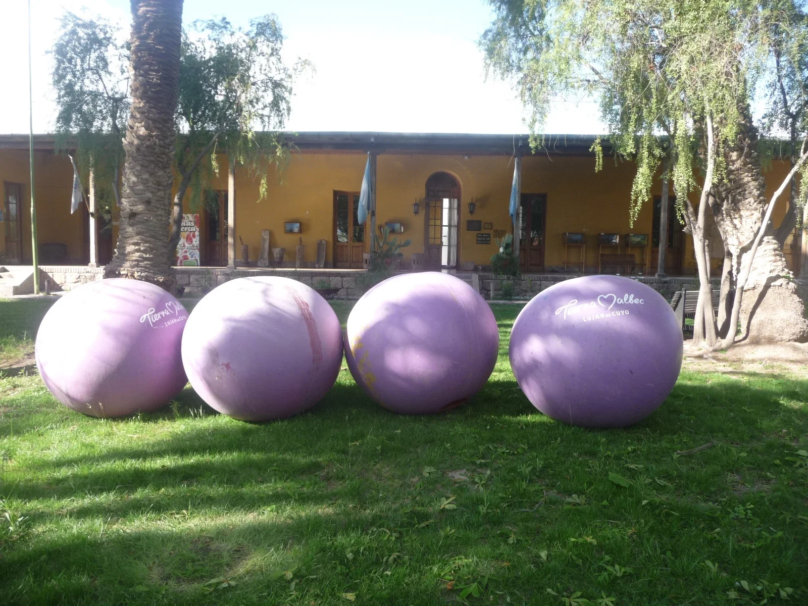 Regional museum and Americanista