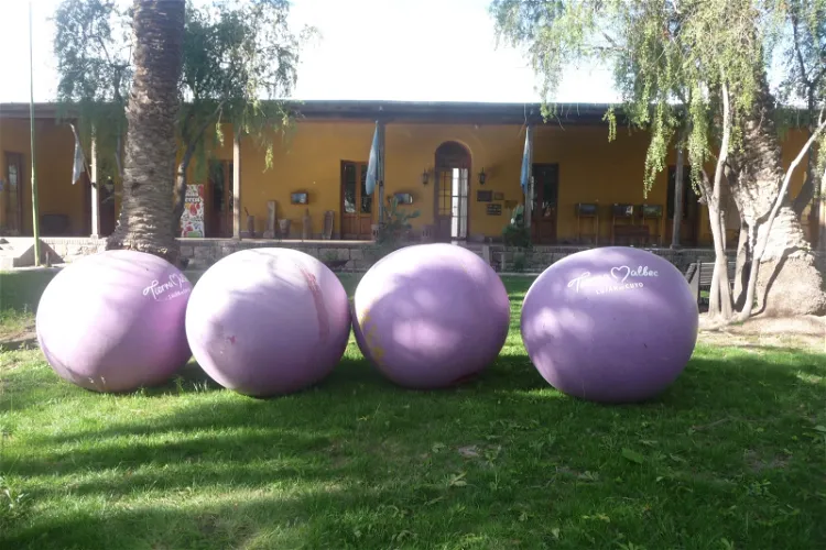 Regional museum and Americanista