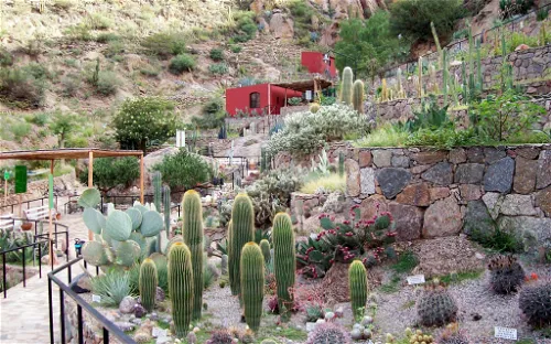 Jardín Botánico Chirau Mita