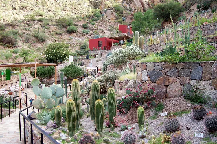 Jardín Botánico Chirau Mita