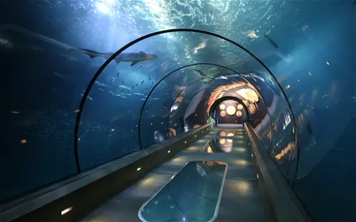 Oregon Coast Aquarium