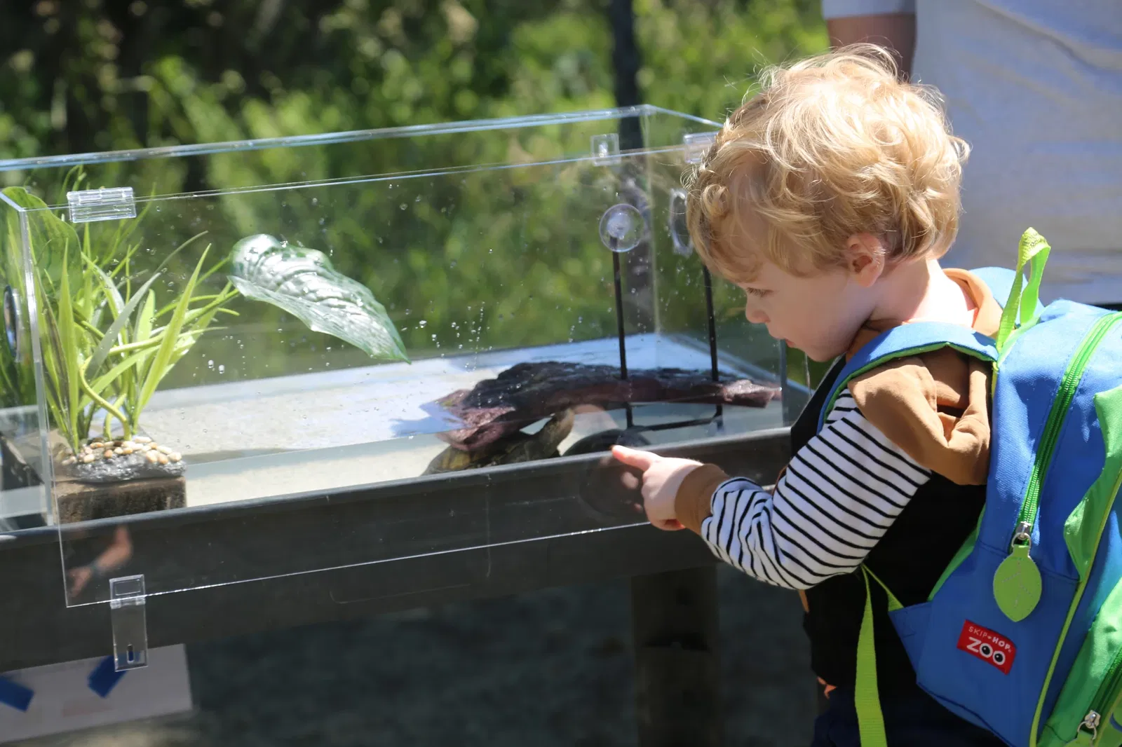 Oregon Coast Aquarium