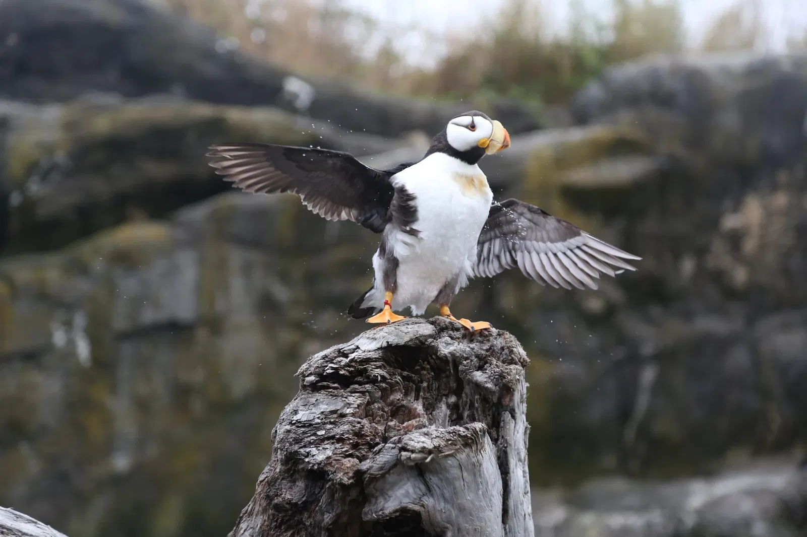 Oregon Coast Aquarium