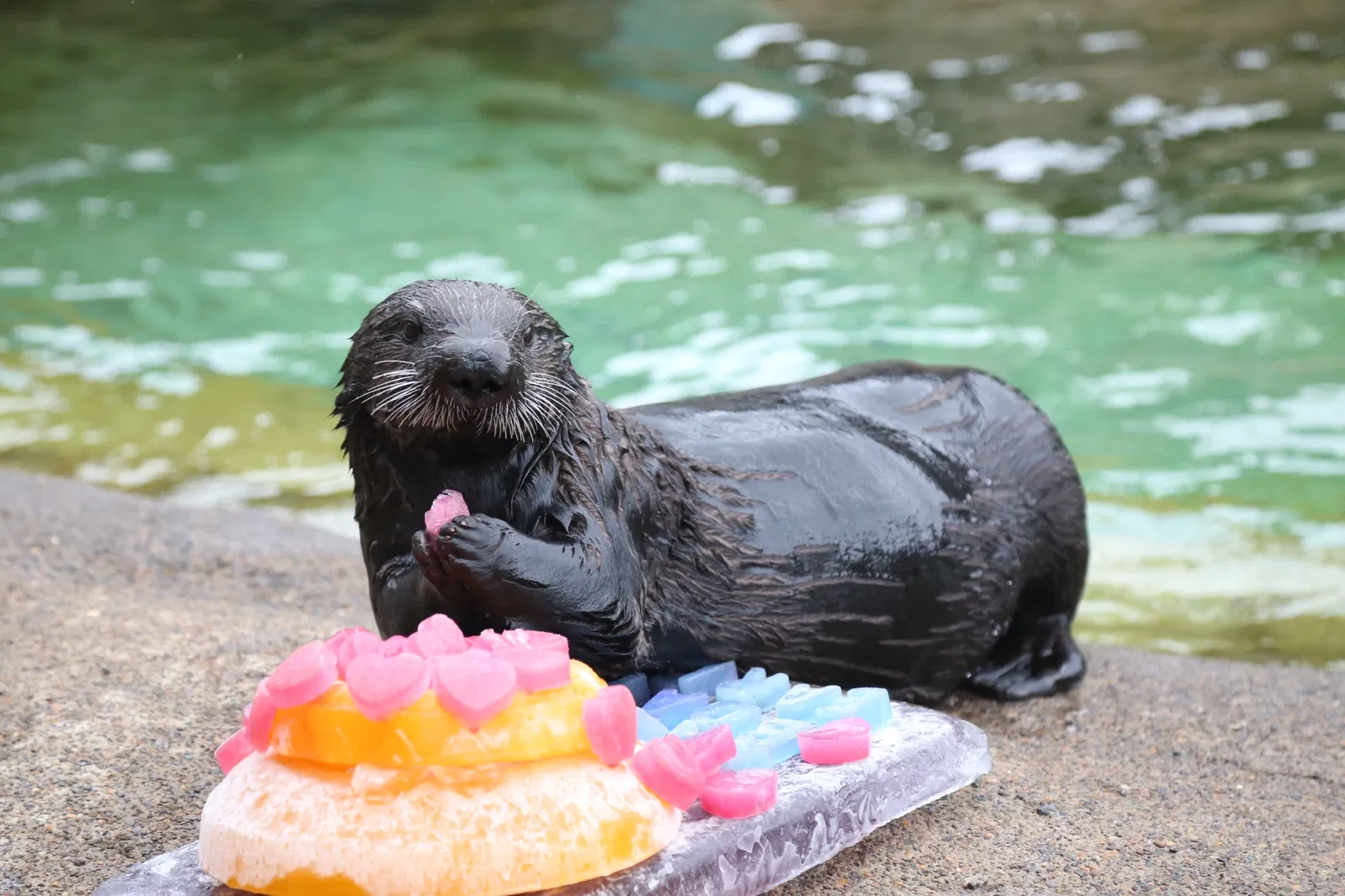 Oregon Coast Aquarium