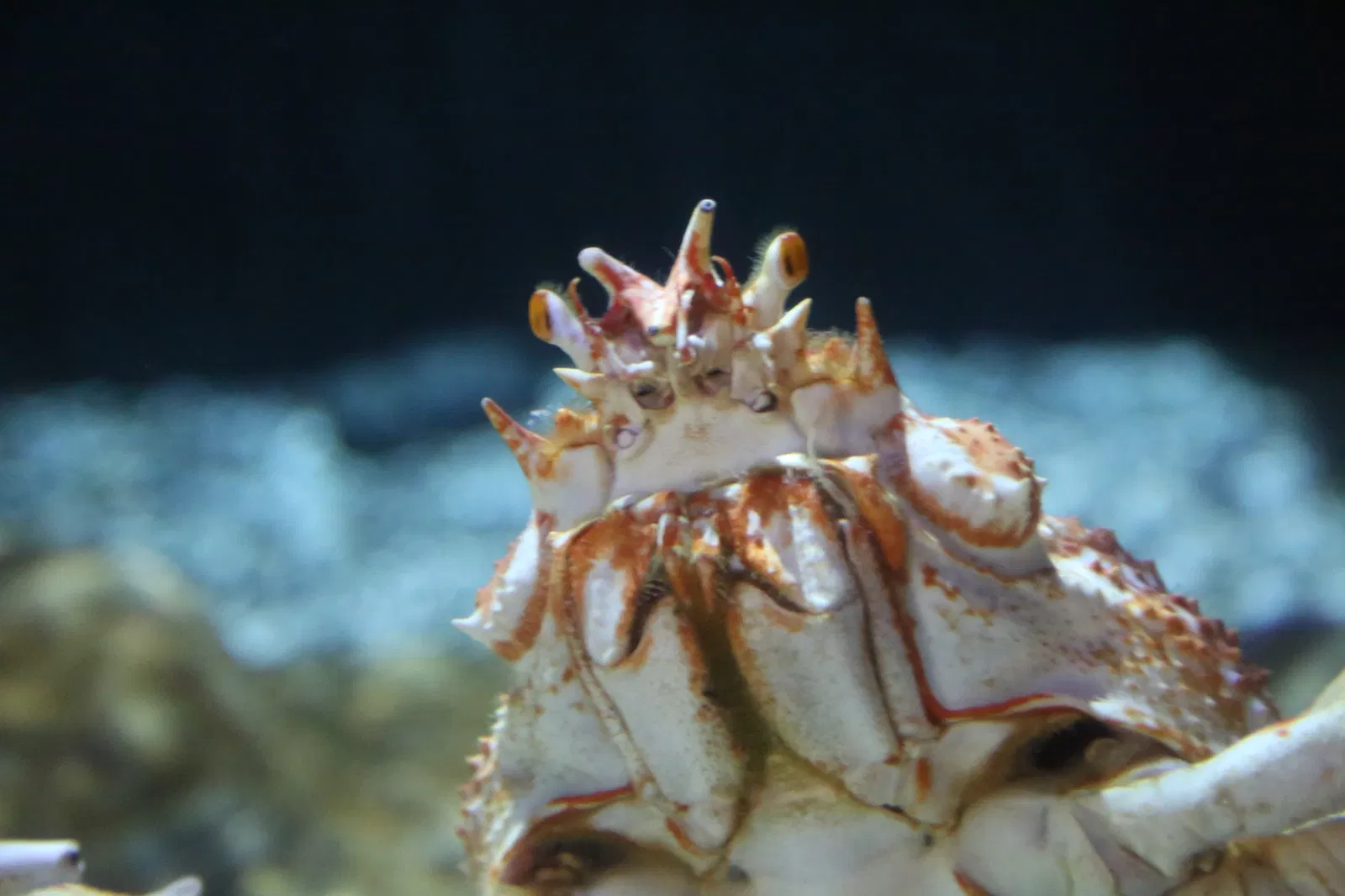 Oregon Coast Aquarium