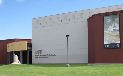 Museum of Paleontology Egidio Feruglio