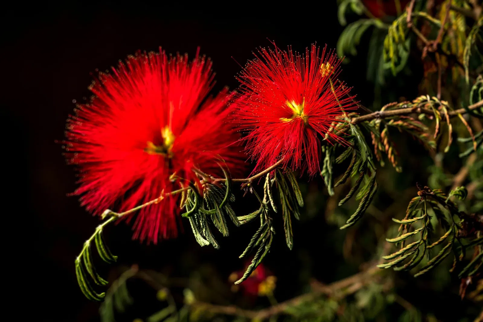 Botanischer Garten Meise