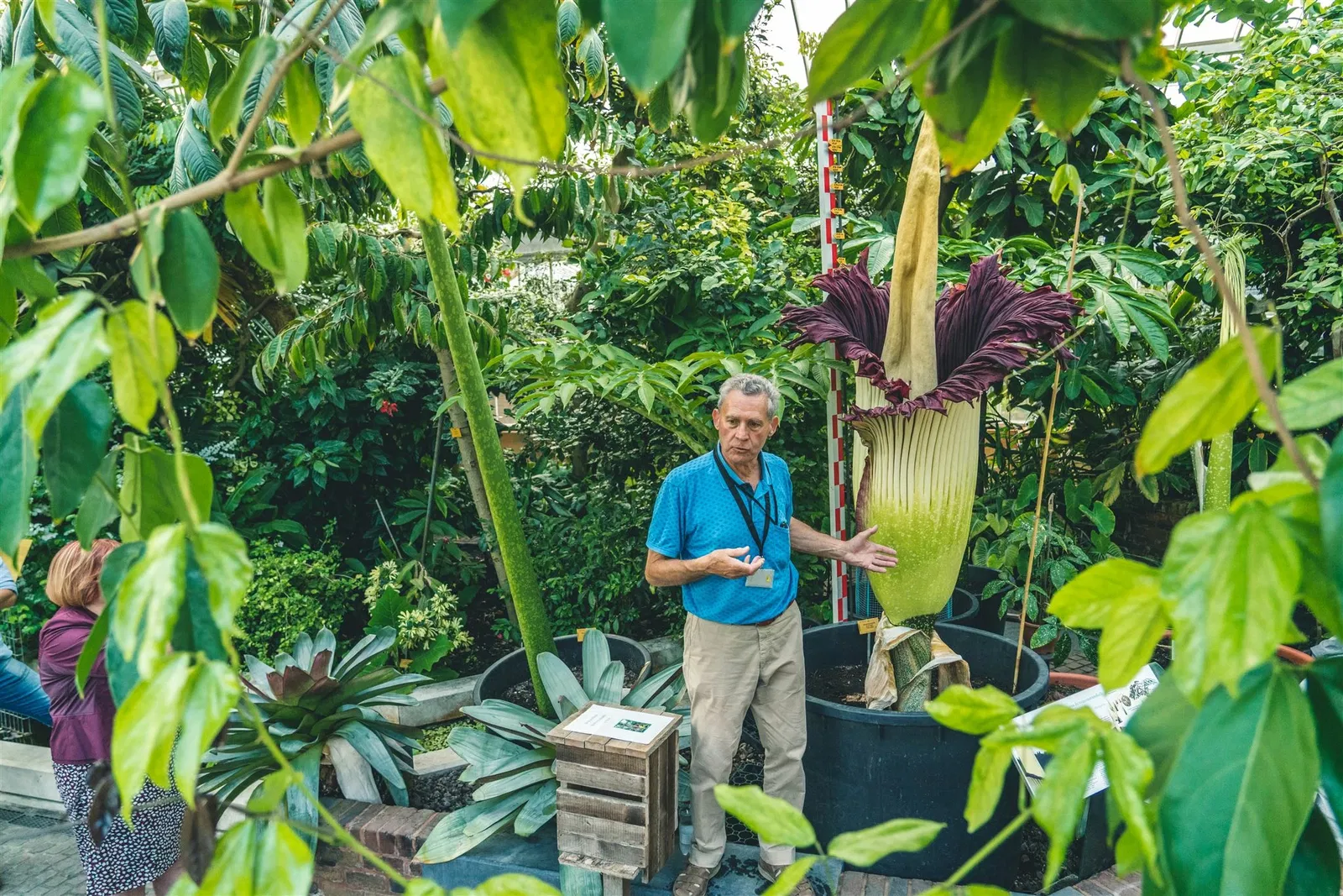 Botanischer Garten Meise