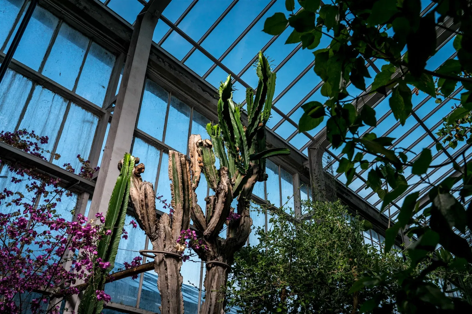 Botanischer Garten Meise