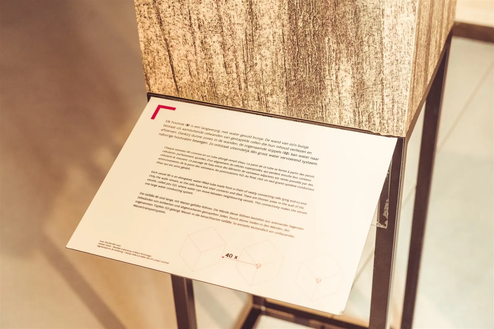 Jardin botanique de Meise