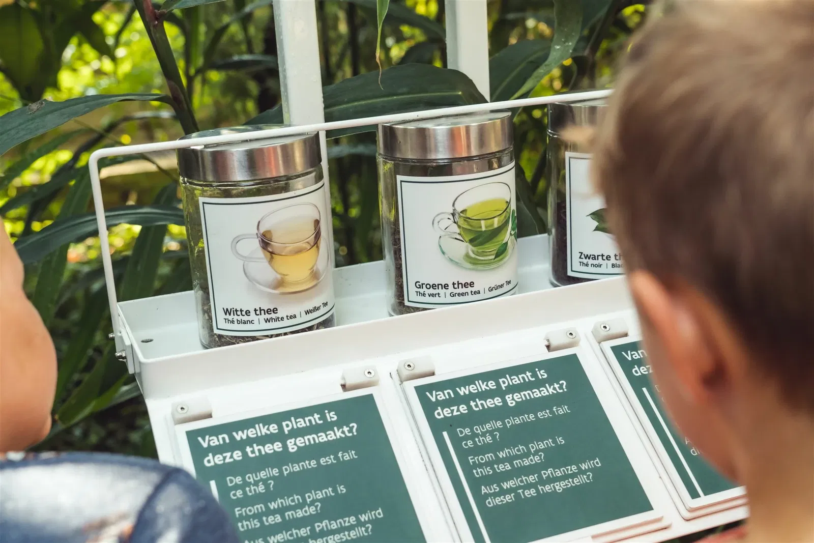 Botanischer Garten Meise