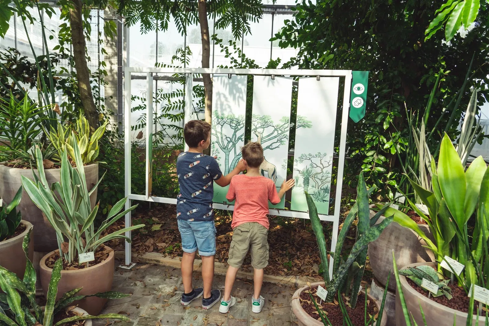Jardin botanique de Meise