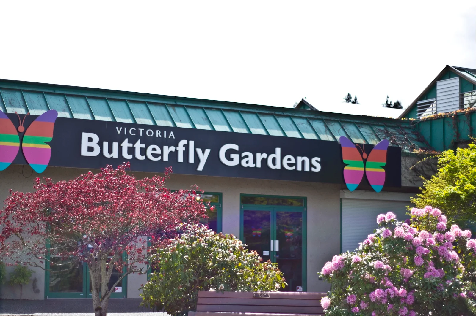 Tickets, Prices & Discounts Victoria Butterfly Gardens (Victoria)