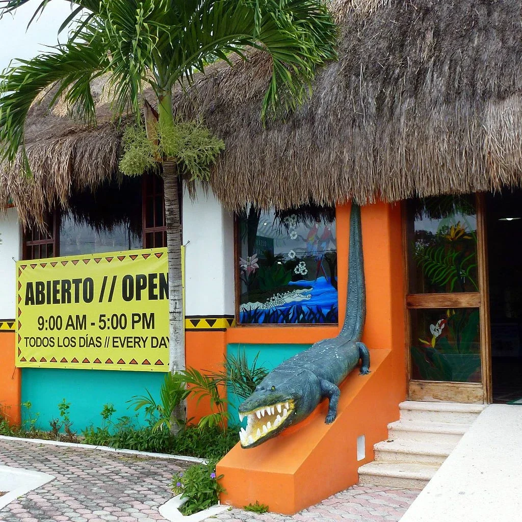 Croco Cun Zoo (Cancun) - Visitor Information & Reviews
