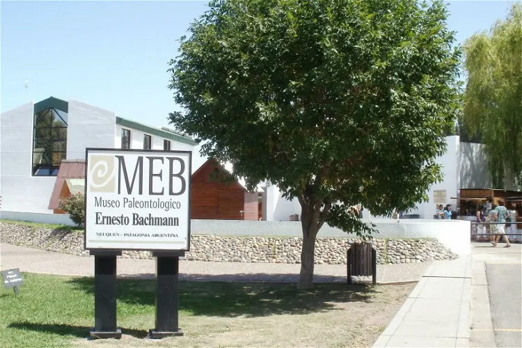 Ernesto Bachmann Paleontological Museum
