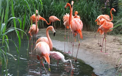 Parc zoologique de Barranquilla