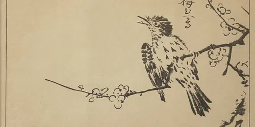 Mucha & Tijdgenoten - Vloeiende lijnen van de grafische kunst