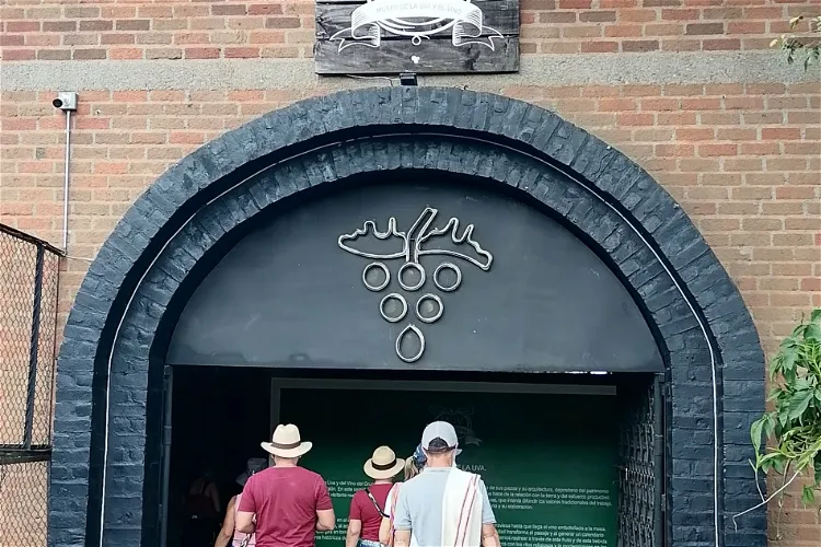Museo de la Uva y el Vino Grajales