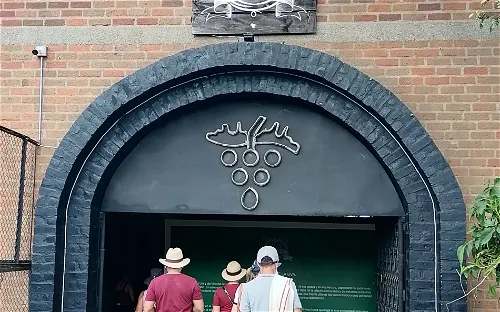 Museo de la Uva y el Vino
