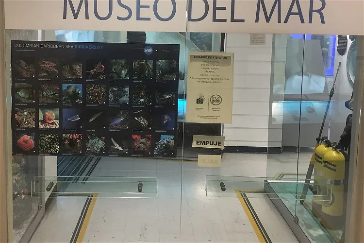 Museo del Mar