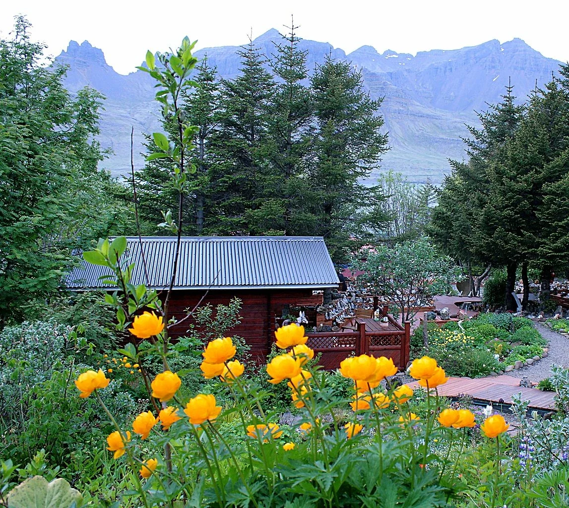 Petra's Stone Mineral Collection