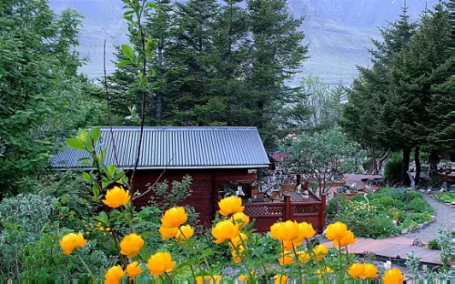 Petra's Stone Mineral Collection