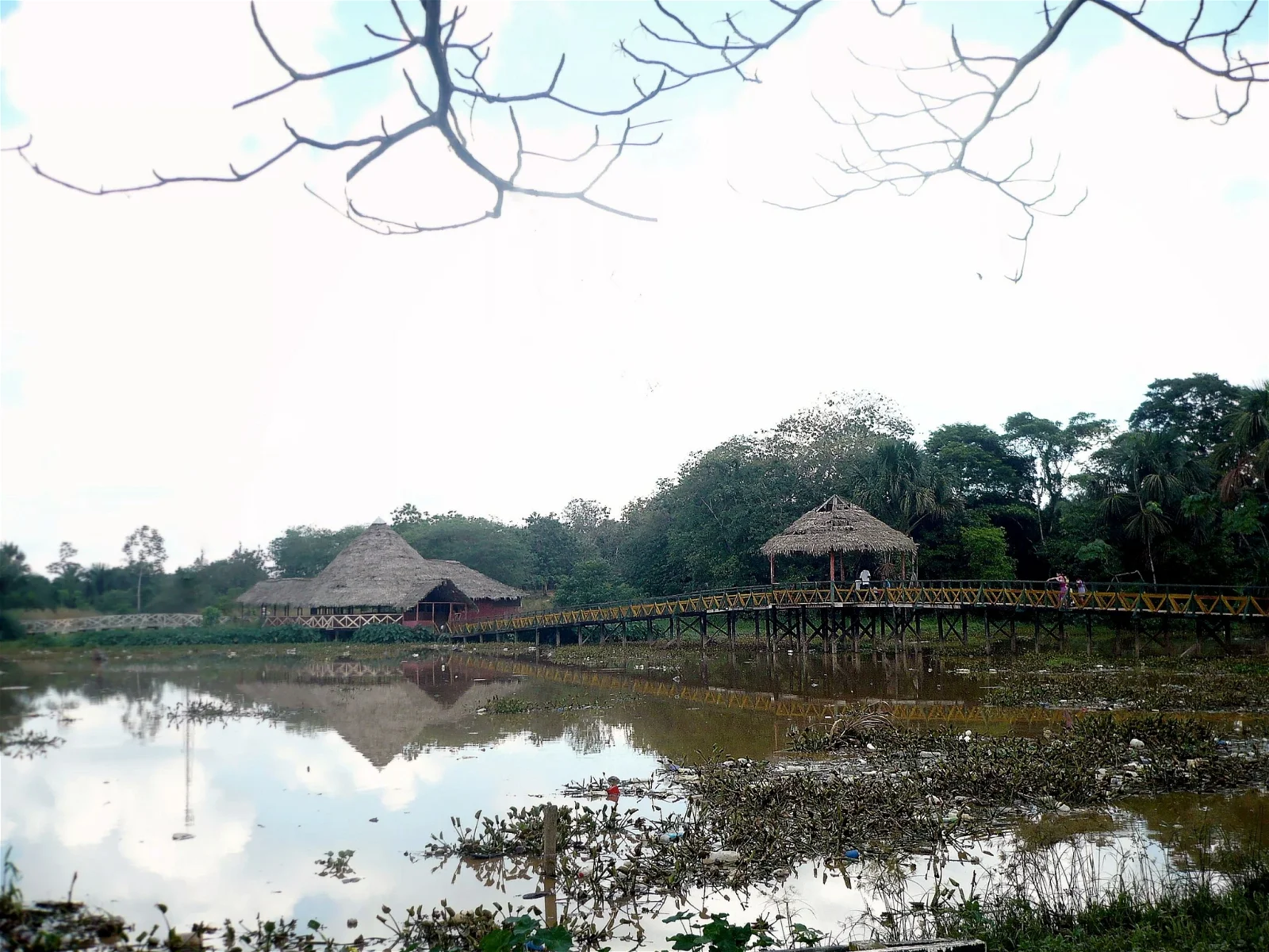 Pucallpa Natural Park