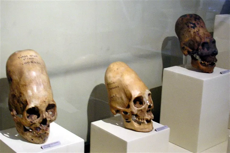 Museo Regional de Ica "Adolfo Bermúdez Jenkins"