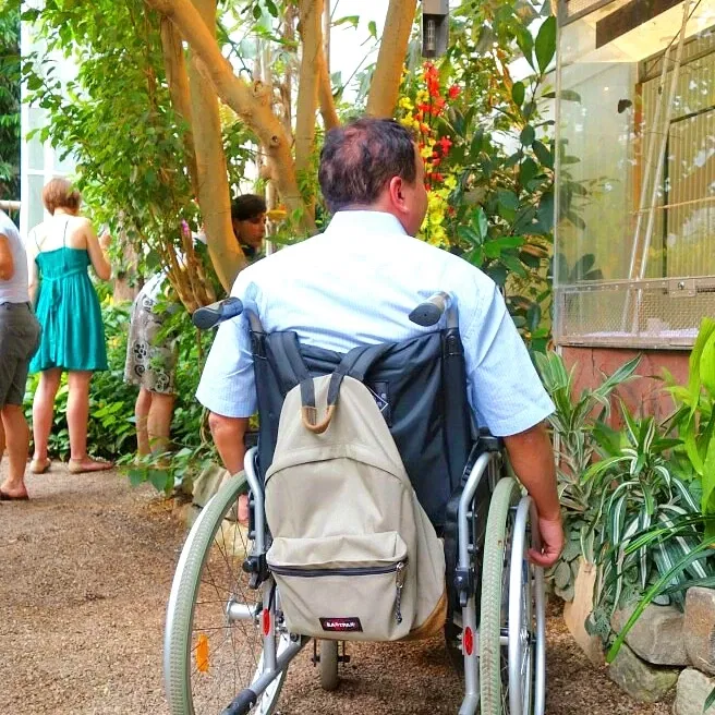 Butterflyhouse Hofburg Palace