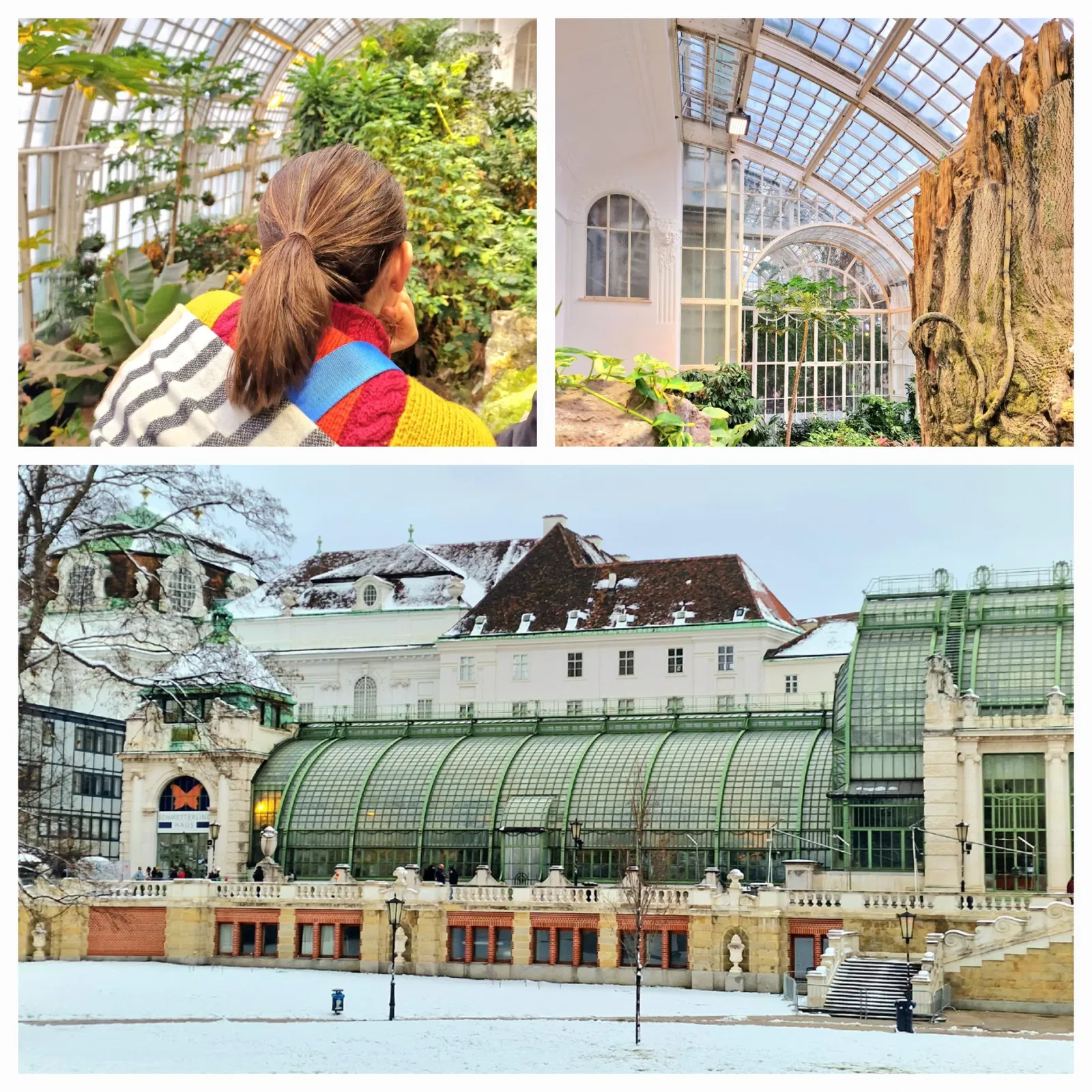 Schmetterlinghaus Hofburg