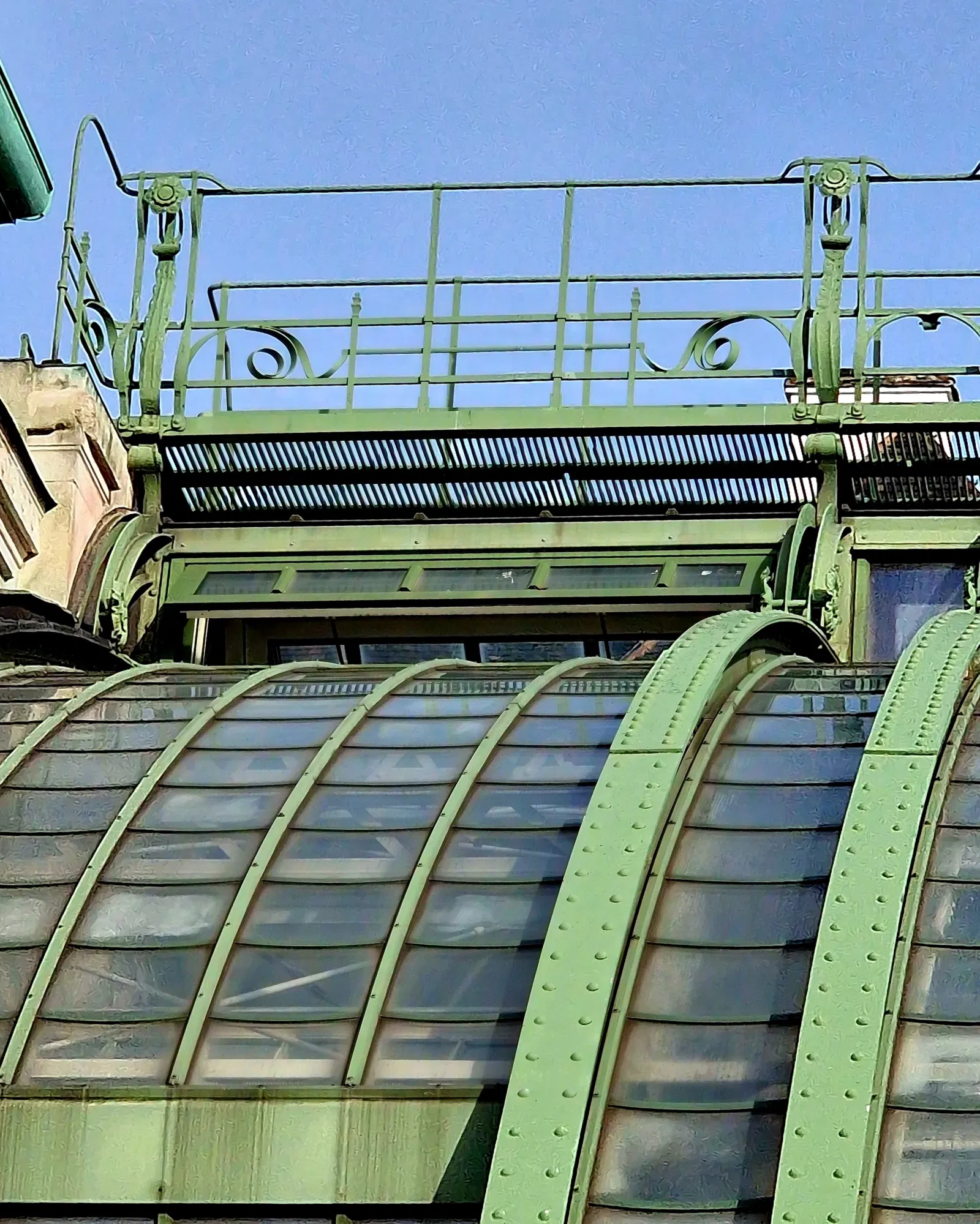 Butterflyhouse Hofburg Palace