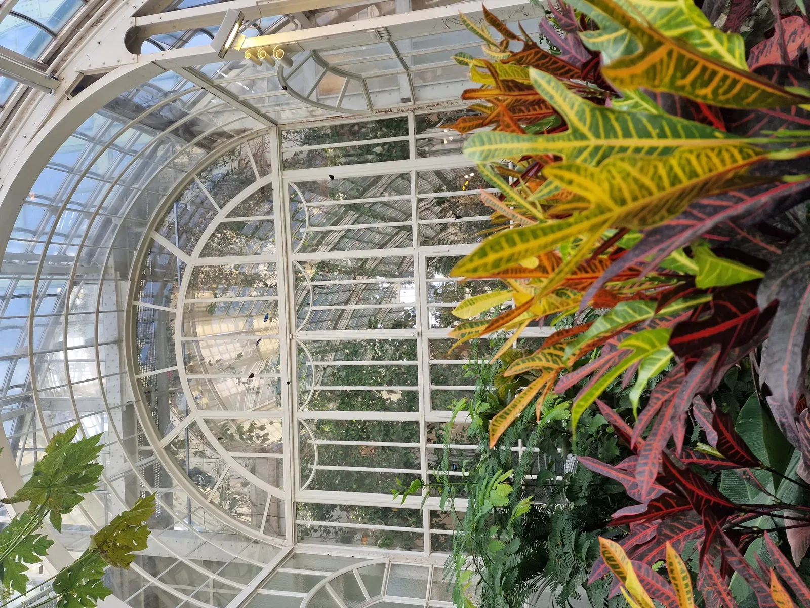 Schmetterlinghaus Hofburg