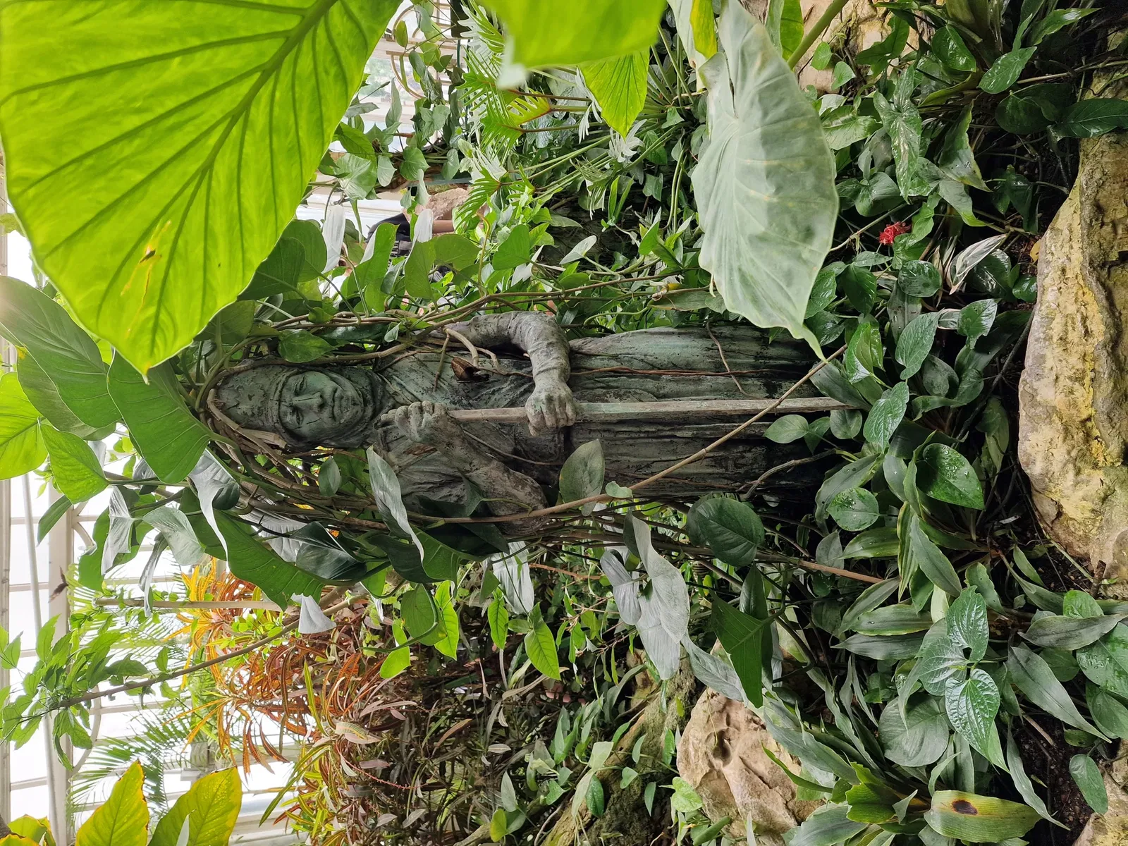 Butterflyhouse Hofburg Palace