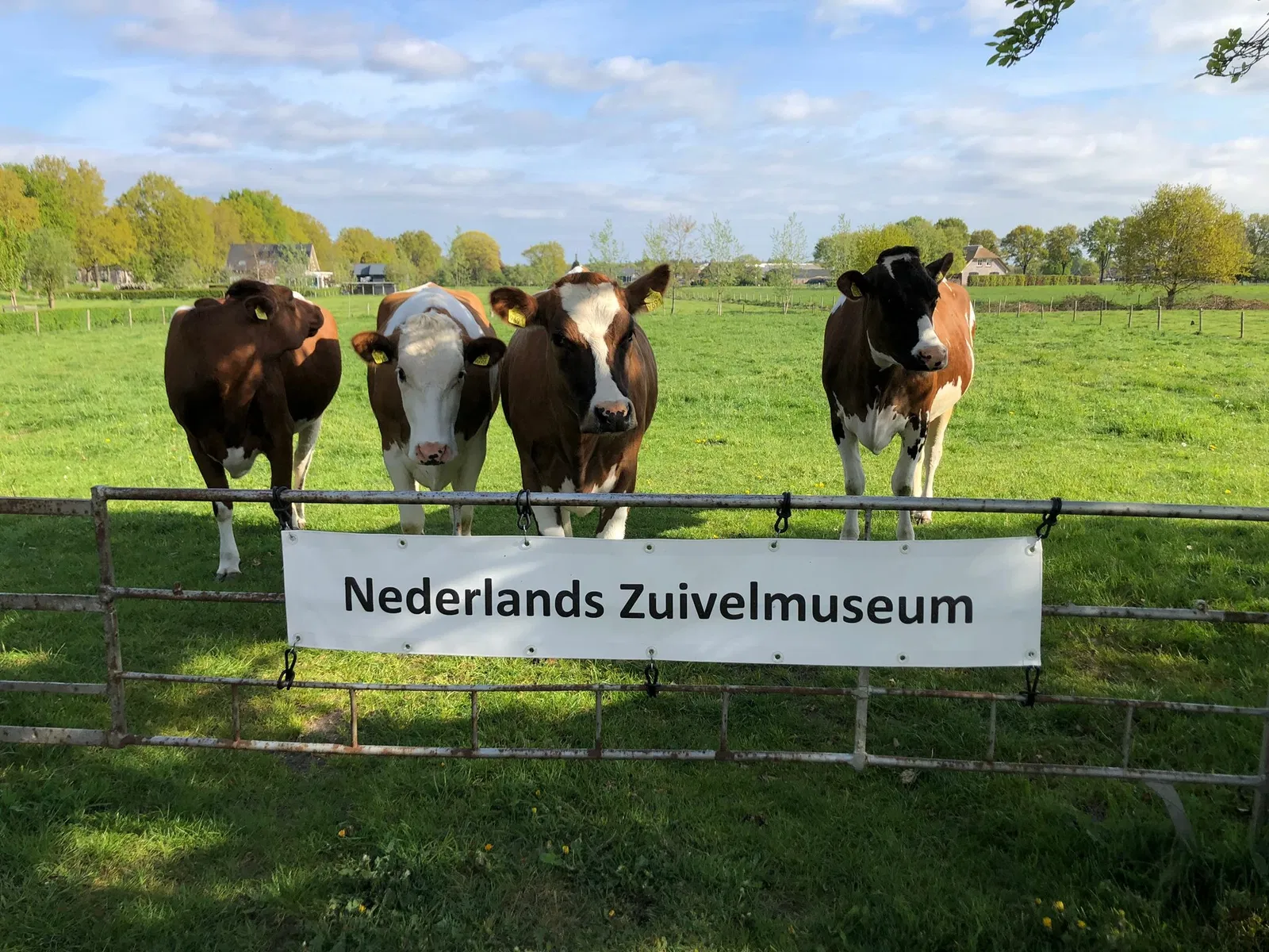Dutch Dairy Museum