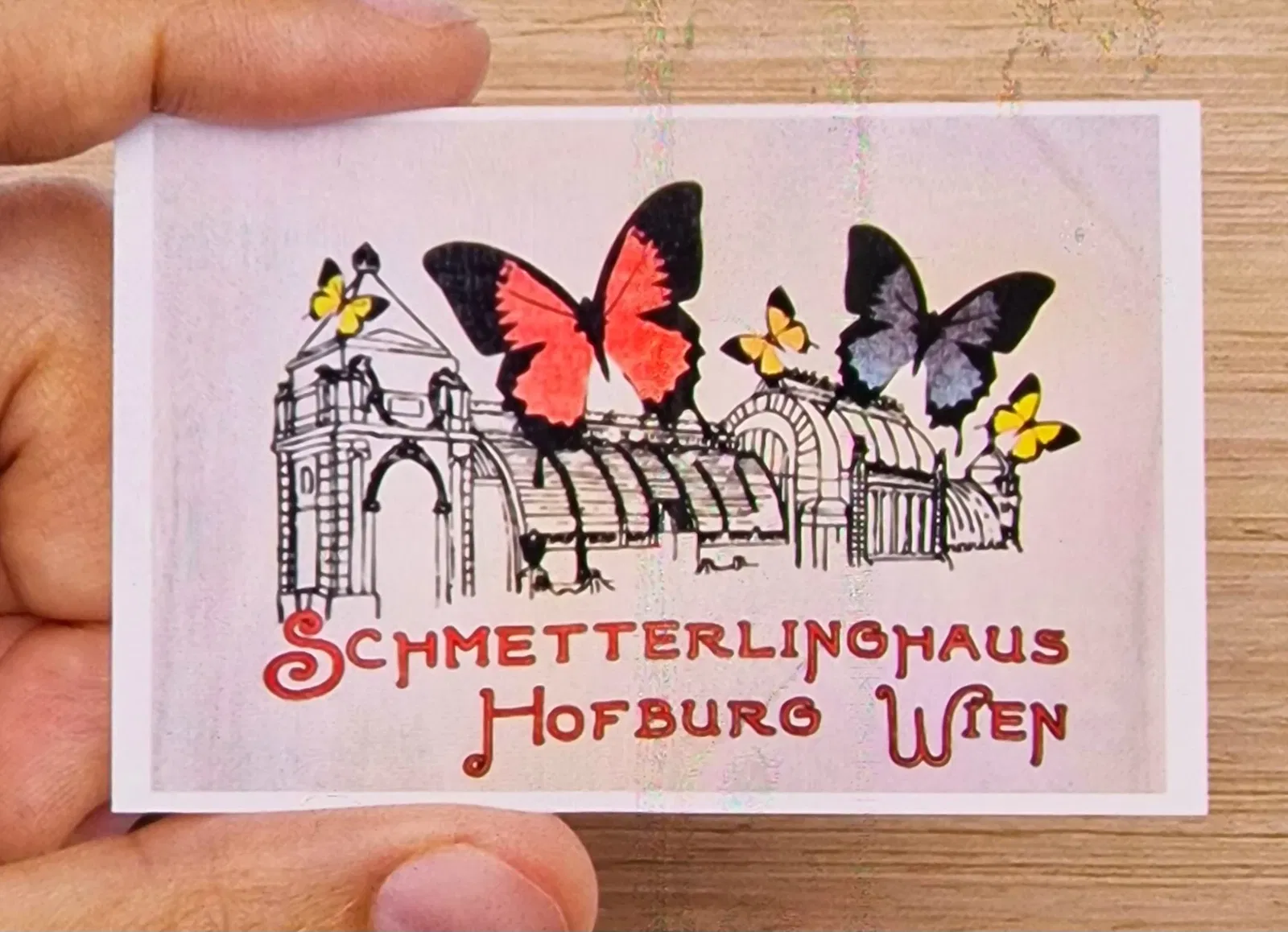 Butterflyhouse Hofburg Palace