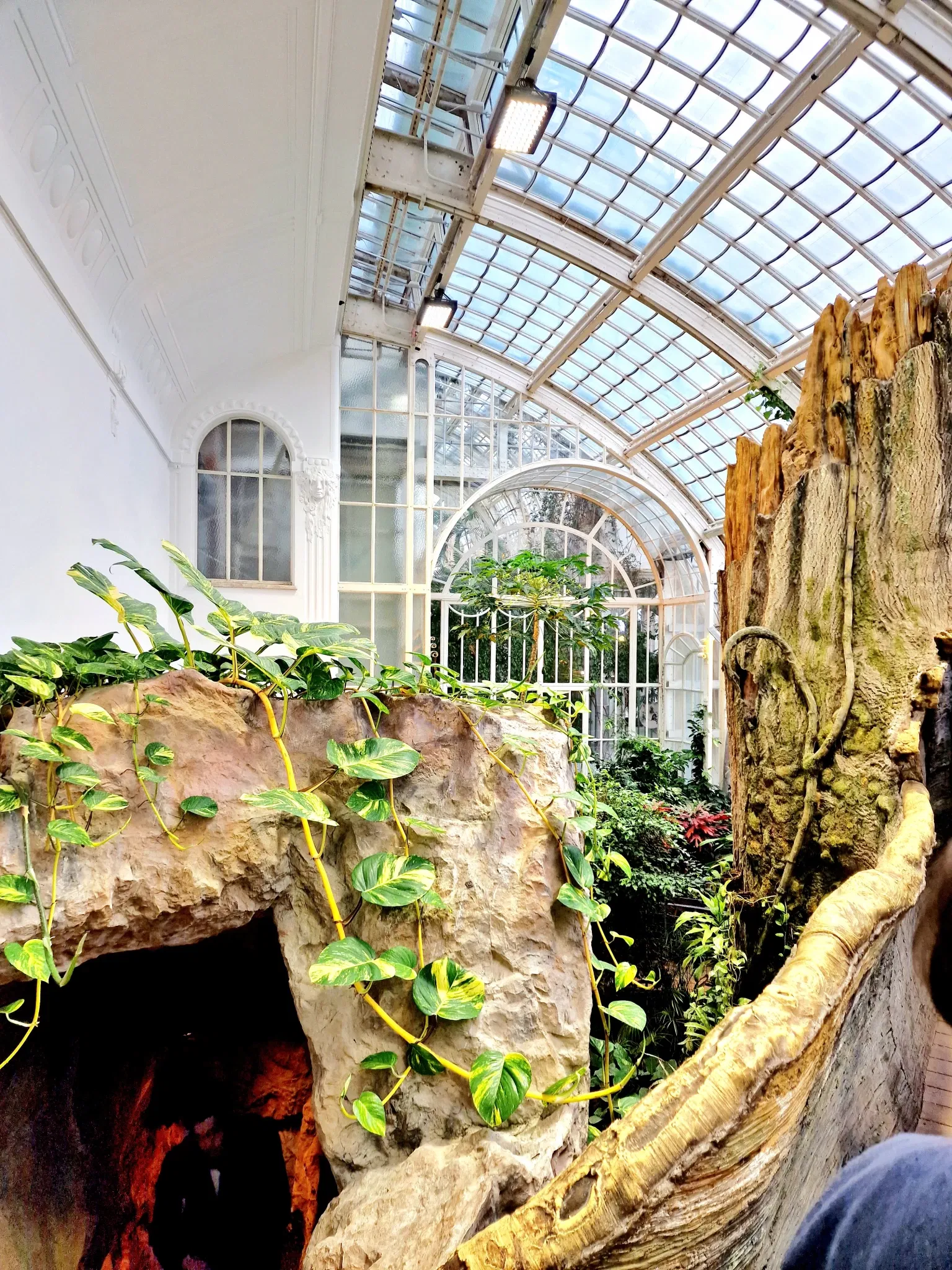 Butterflyhouse Hofburg Palace