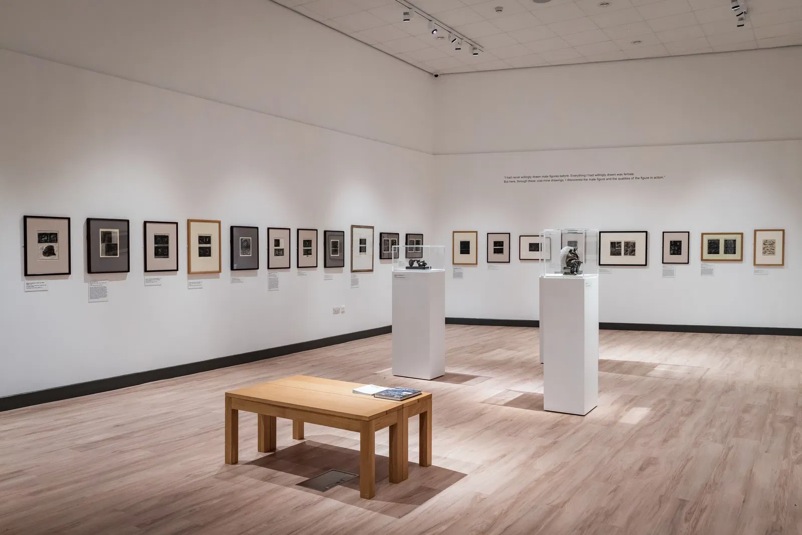 Danum Library, Gallery and Museum