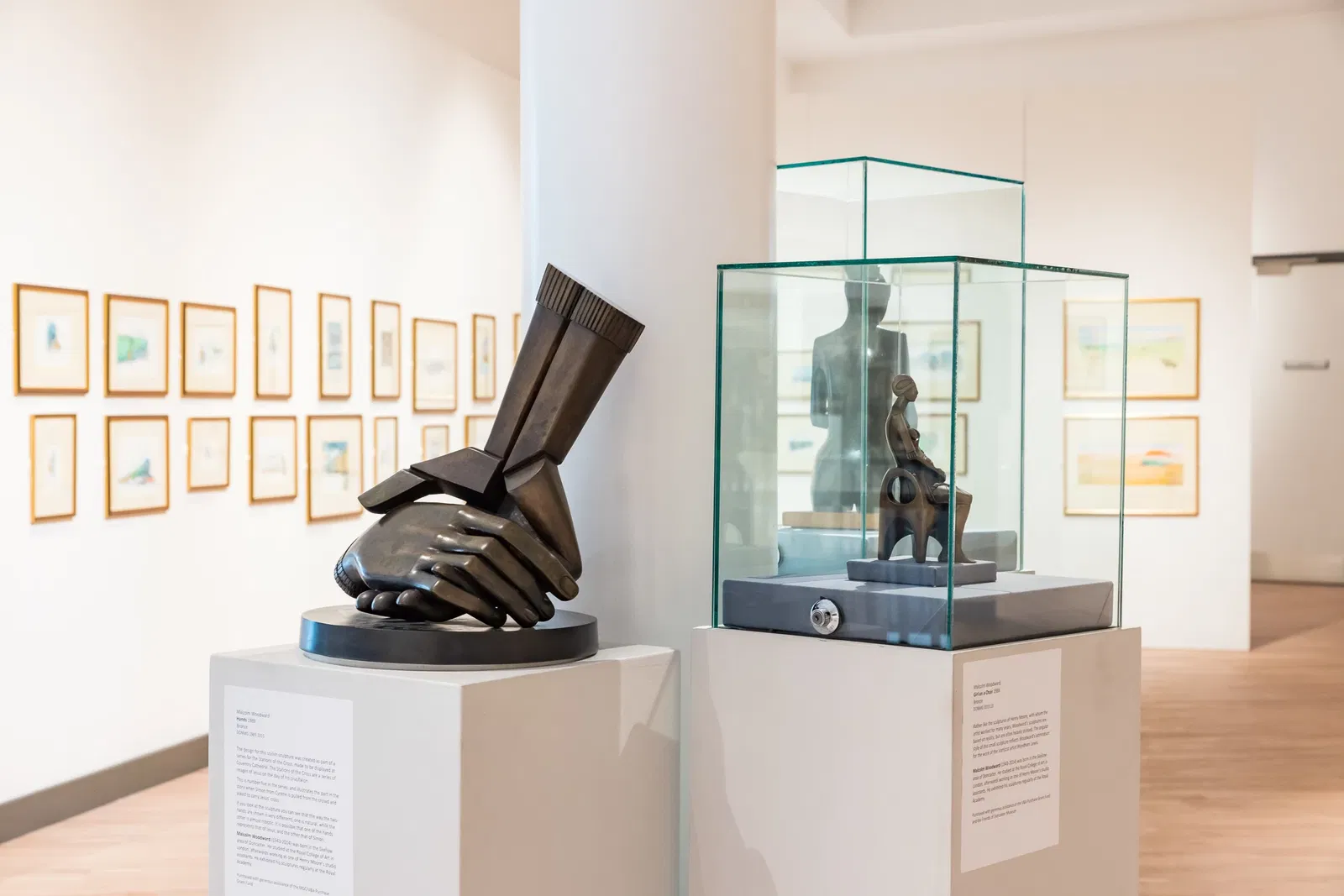 Danum Library, Gallery and Museum