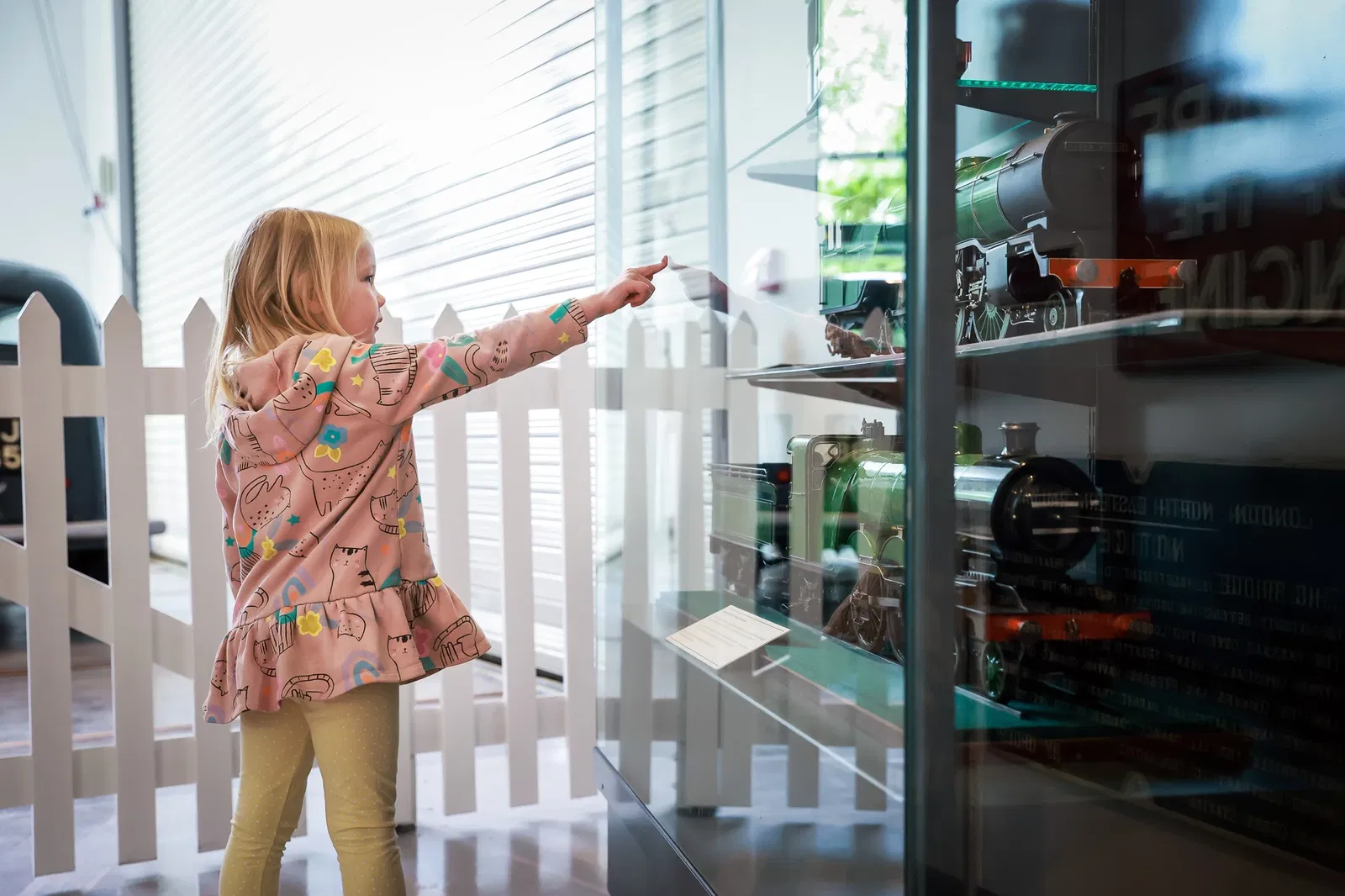 Danum Library, Gallery and Museum