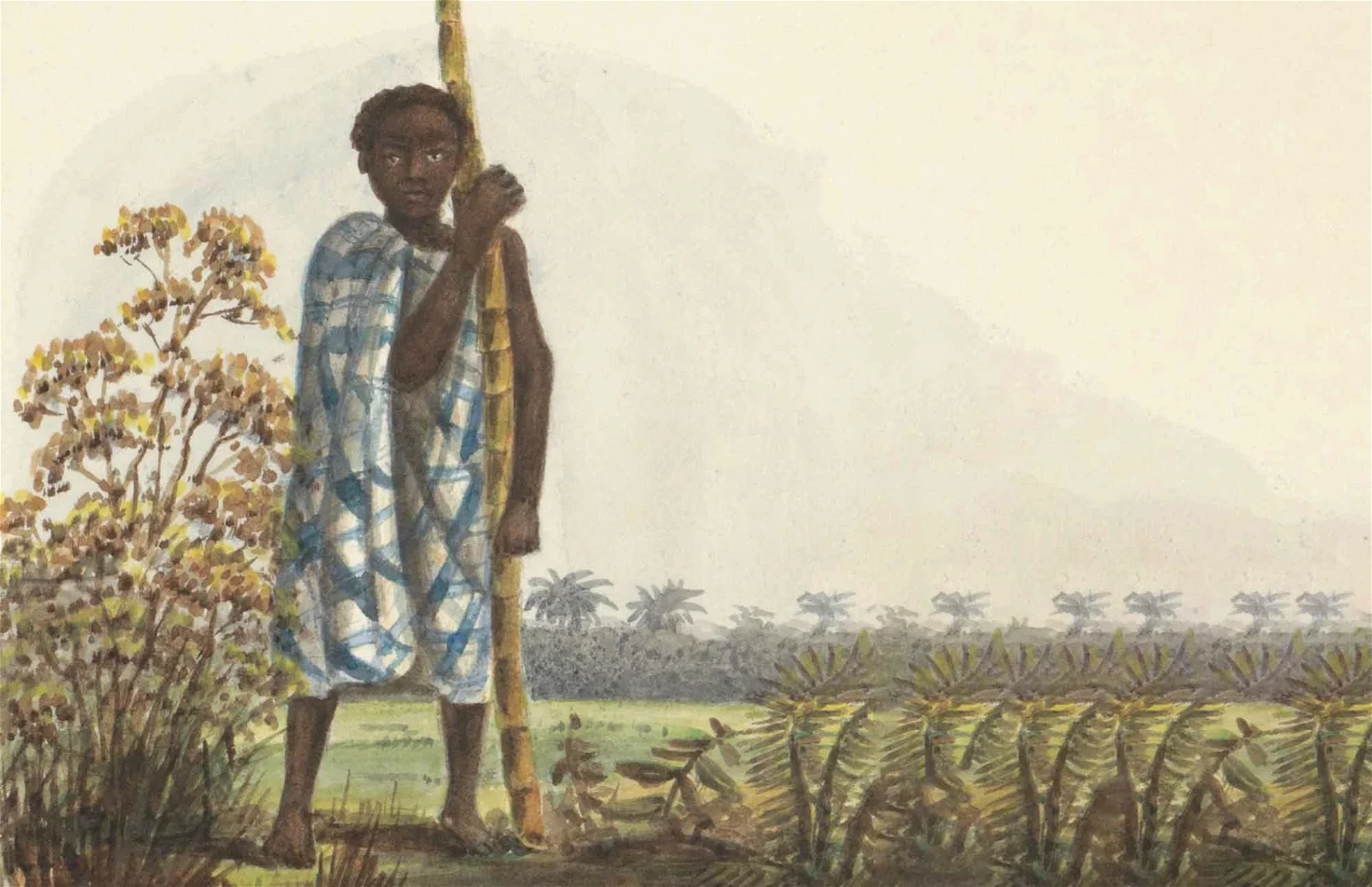 Slavernijsporen in Kampen