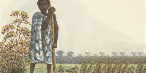 Slavernijsporen in Kampen