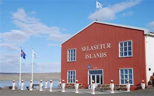 Icelandic Seal Center