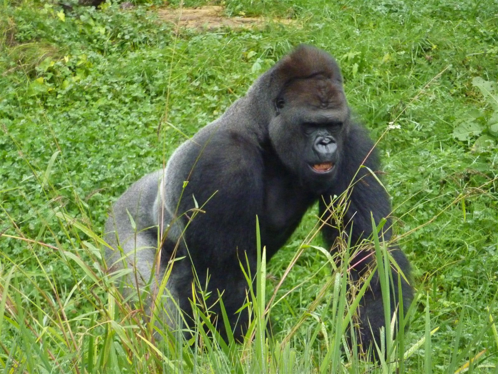 Wilhelma Zoo and Botanical Garden